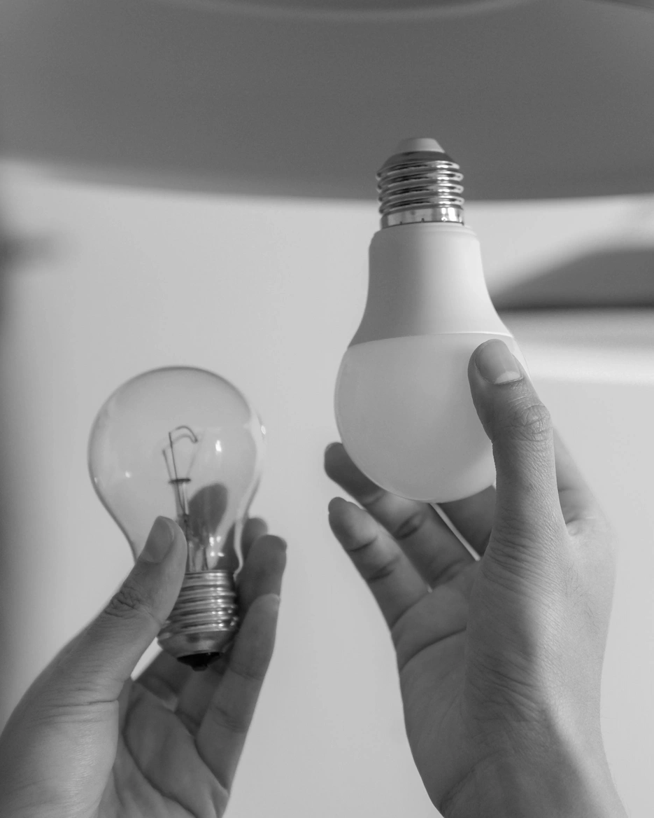 Hands holding energy efficient LED lightbulbs