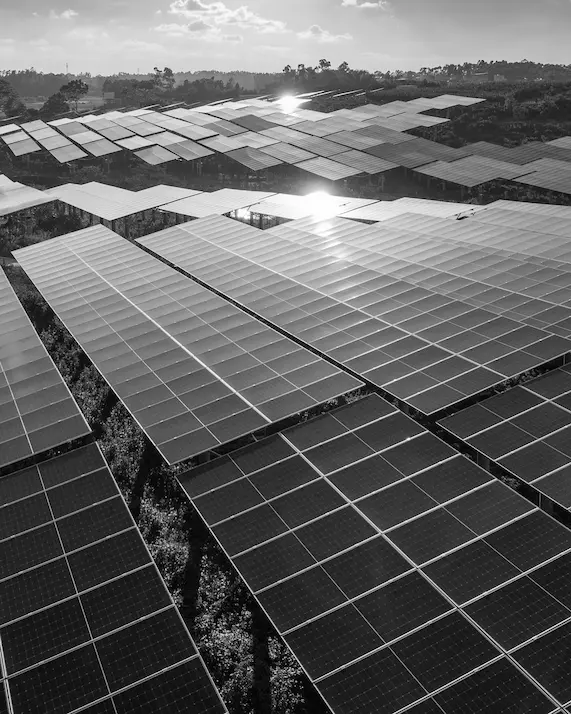 Solar panels against a clear sky