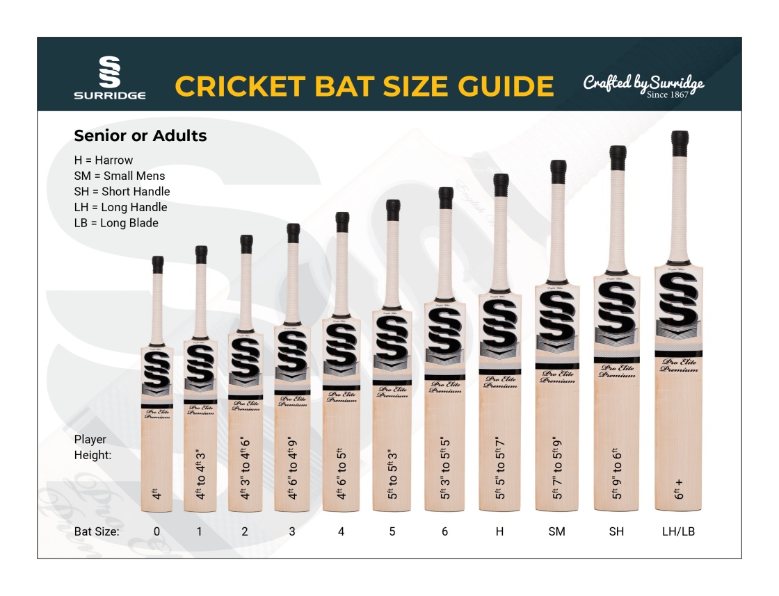 GRADE 1 ALPHA ENGLISH WILLOW CRICKET BATS - Size Guide